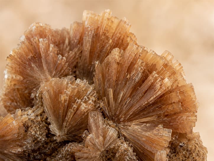 Detailfoto van aragoniet met kristallen en aardse kleur