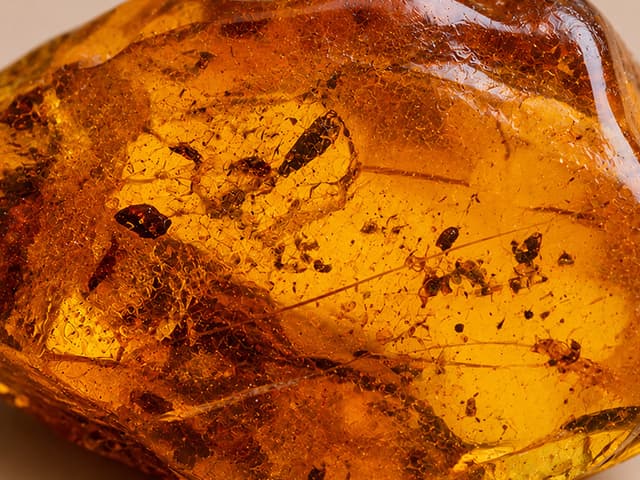 Detailfoto van barnsteen met insluitsels in de hars