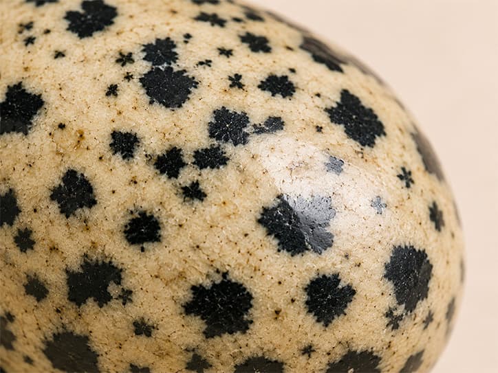 Detailfoto van Dalmatiër-jaspis met gespikkelde tekening