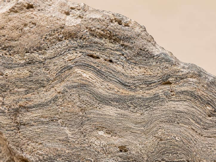Detailfoto van stromatoliet met fijne, golvende groeilagen