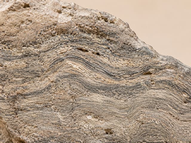 Detailfoto van stromatoliet met fijne, golvende groeilagen