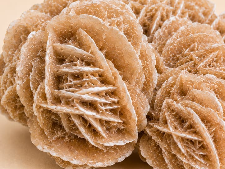Detailfoto van woestijnroos met platte kristalbladen