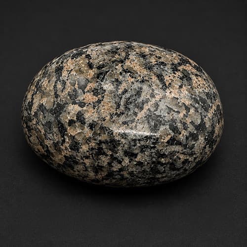 Leopardiet Handpalmsteen